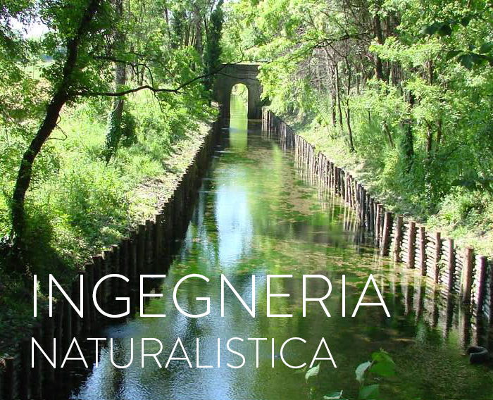 Medicert corsi: Ingegneria naturalistica